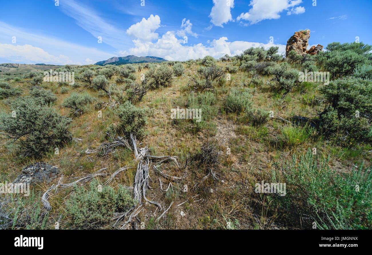 Paysage sauvage, vierge de la prairie avec des roches, de l'armoise, et les terres arides dans le cœur de l'ouest des prairies près de Wyoming, Wyoming, USA. Banque D'Images