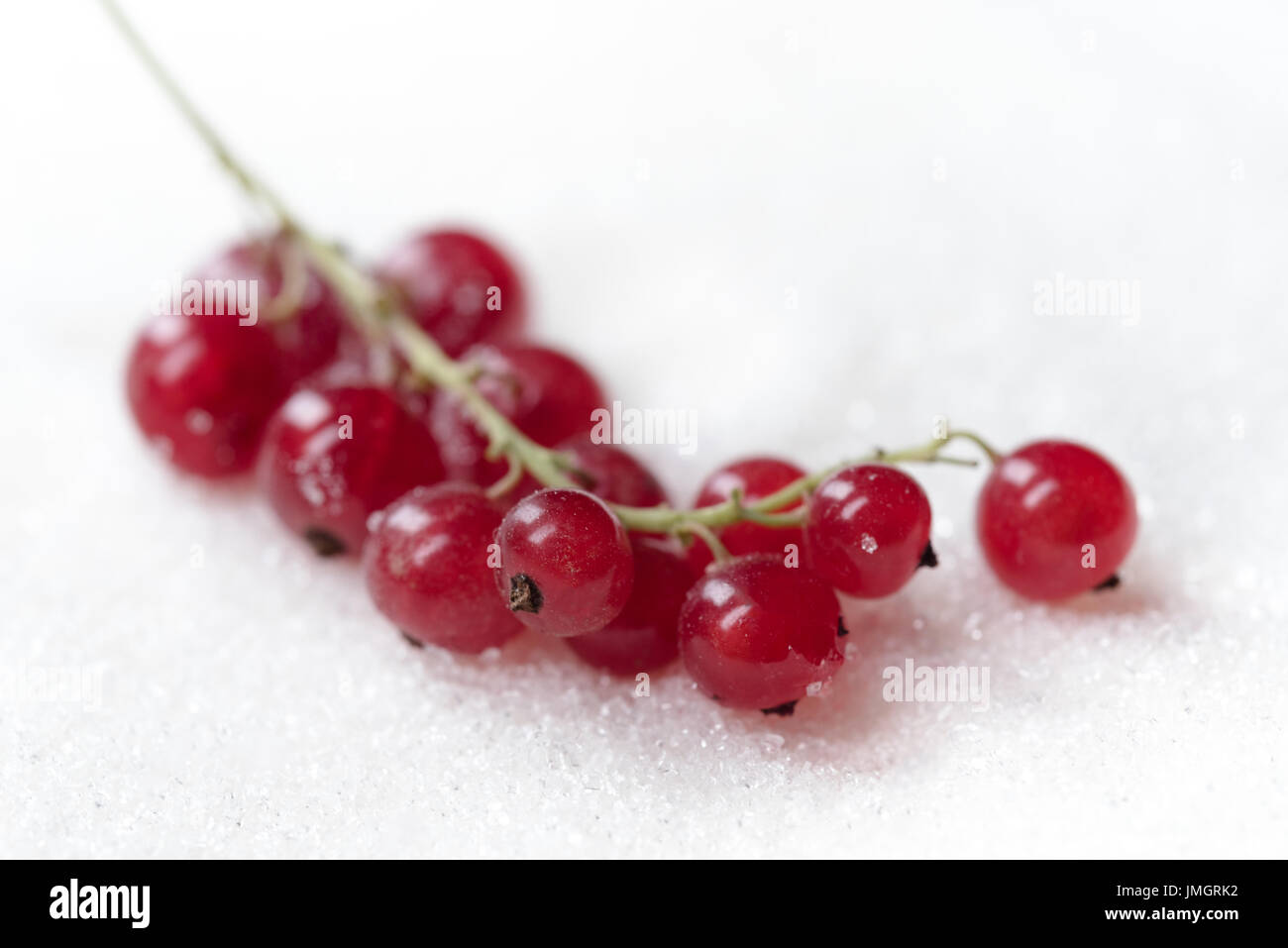Photo de cassis sucré plus isolés du sucre blanc arrière-plan. Banque D'Images