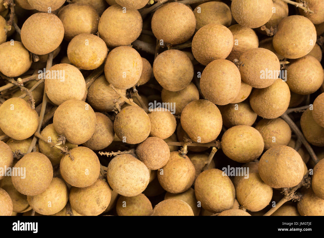 Longane Dimocarpus longan, fruits, de l'Asie. Banque D'Images