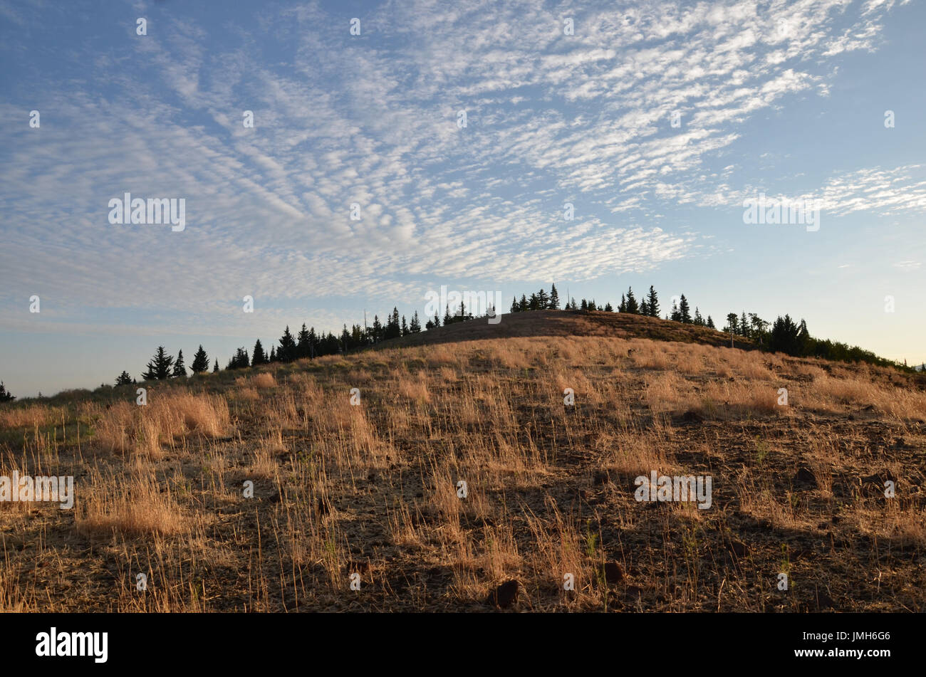 Grassy Mountain Hill Kanarraville ci-dessus que le soleil se lève sur le côté. Doucement la lumière illumine l'herbe comme les hauts nuages passent au-dessus. Banque D'Images