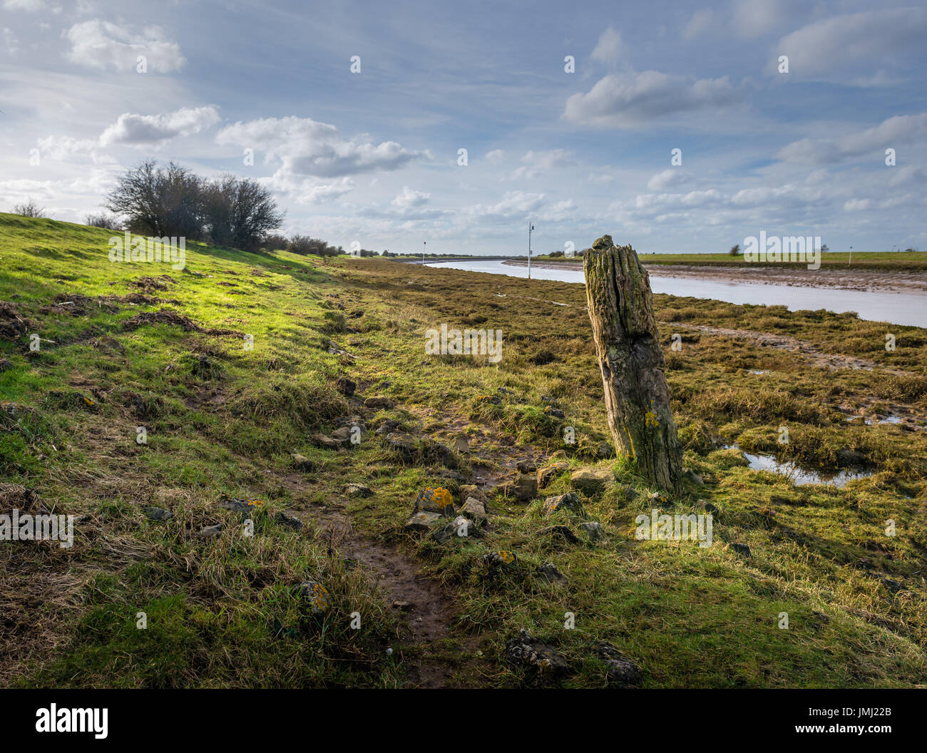 Les basses terres côtières de l'Angleterre offrent certains des plus grands marais salants naturels au Royaume-Uni. Frampton Marsh sur l'estuaire de la laver dans le Lincolnshire Banque D'Images