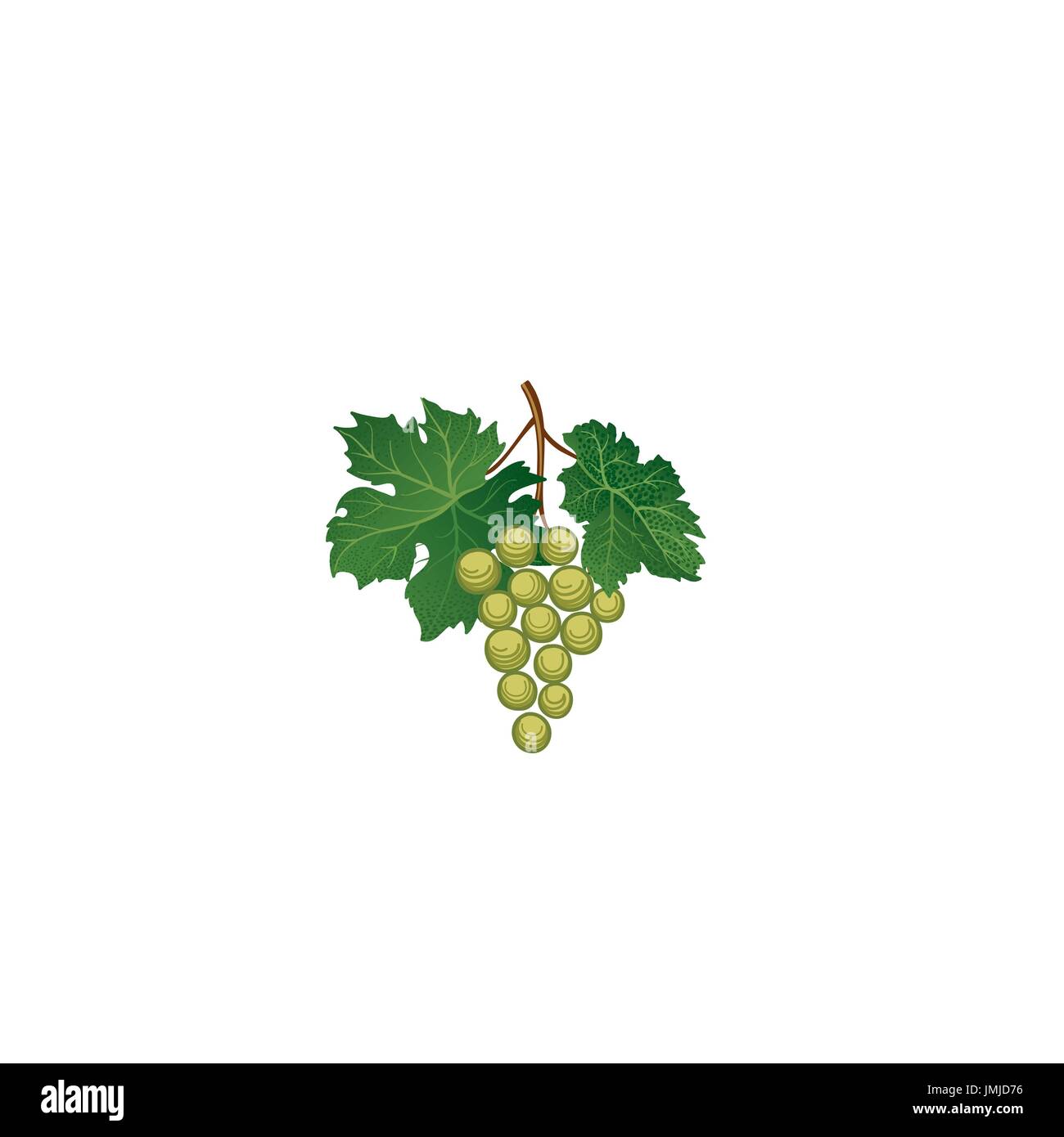 Grappe avec feuilles. vin floral signe rétro. jardin contexte. vin icône berry Illustration de Vecteur