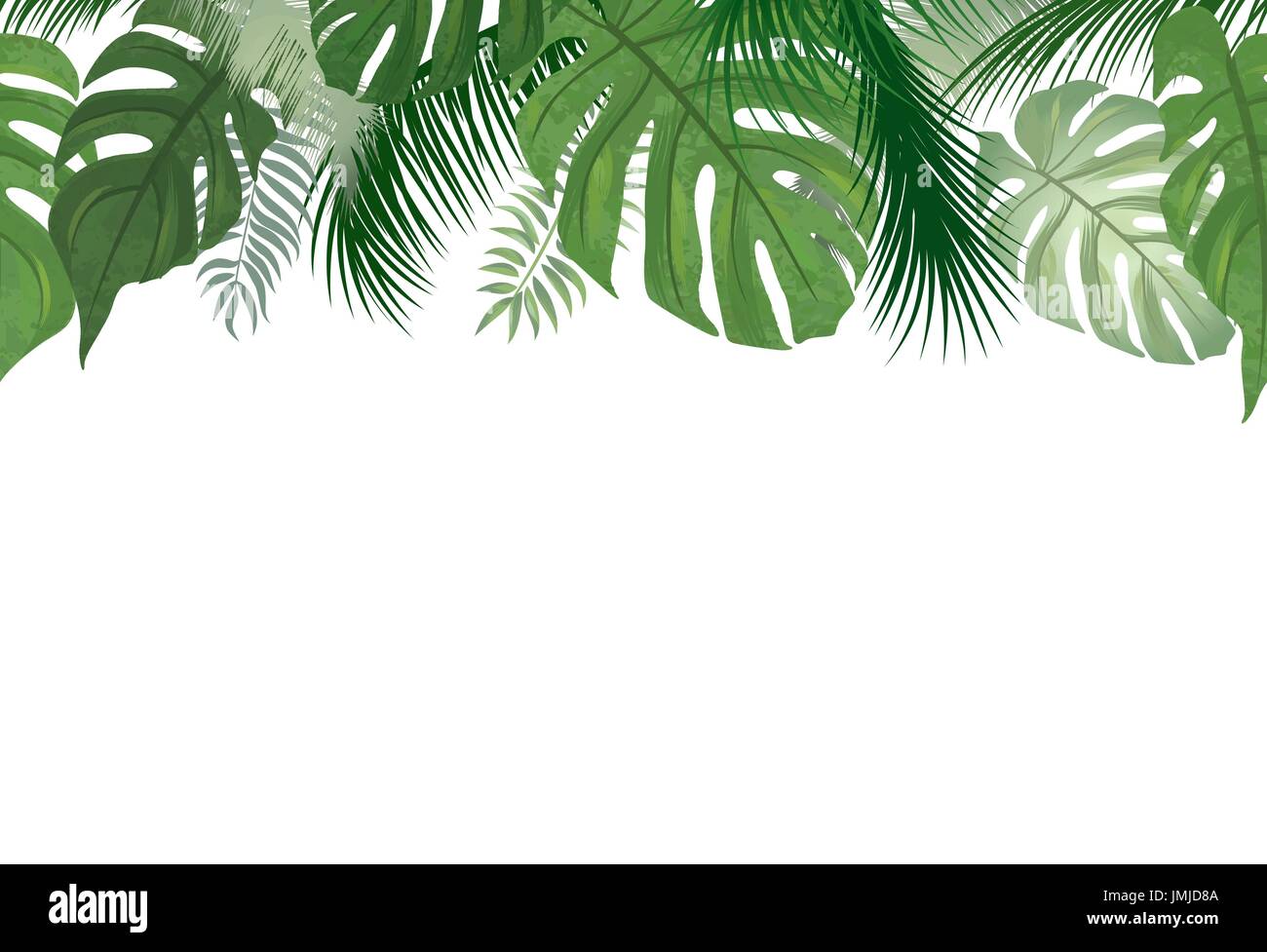 Transparente Floral Pattern Feuilles Tropicales Fond Frontiere Feuille Nature Palmier Image Vectorielle Stock Alamy