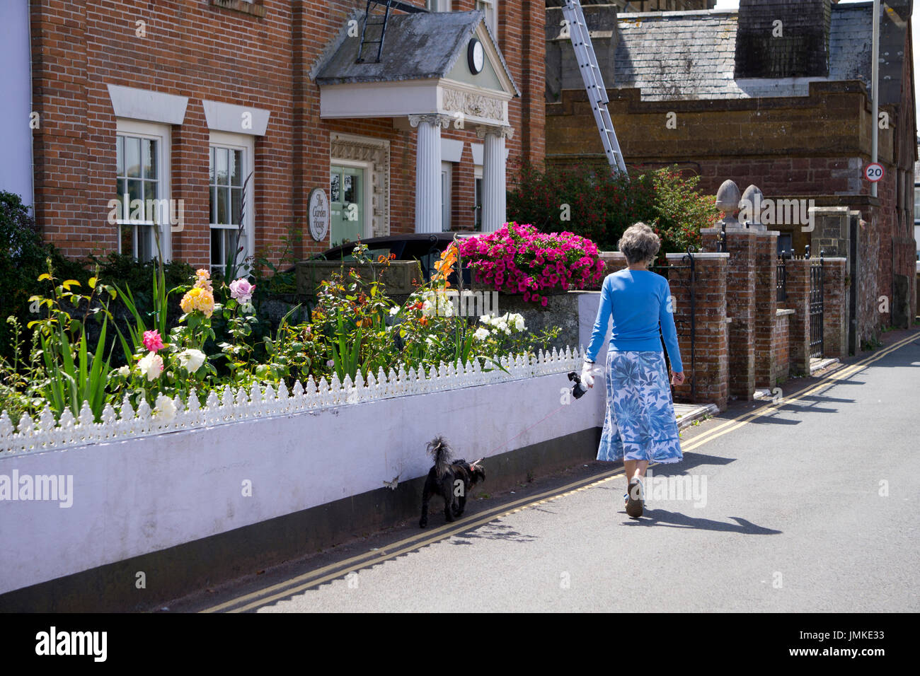 Les femmes promener son petit chien le long d'une rue en Angleterre, Royaume-Uni Banque D'Images