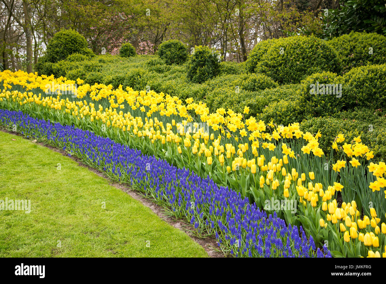 Fleurs à keukenhof park en Pays-Bas, europe. Banque D'Images