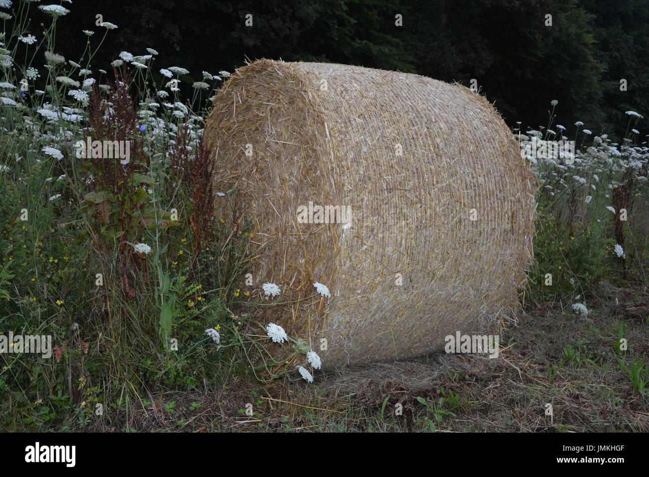 Des balles de foin se trouve dans le pré avec de grandes fleurs Banque D'Images