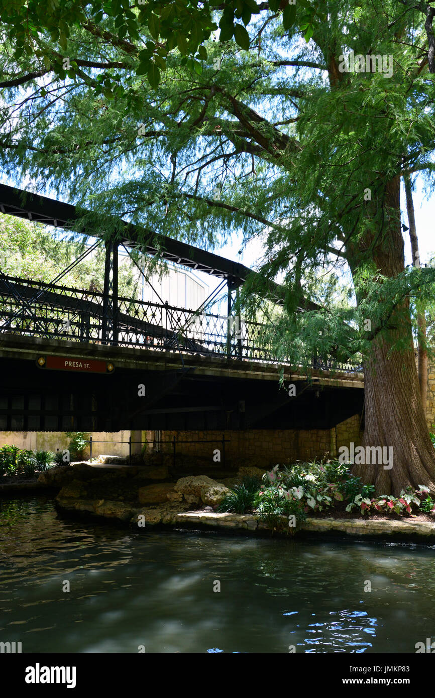 Le Sud Presa Street Bridge sur la rivière San Antonio est un poney lenticulaire truss construit en 1890 Banque D'Images