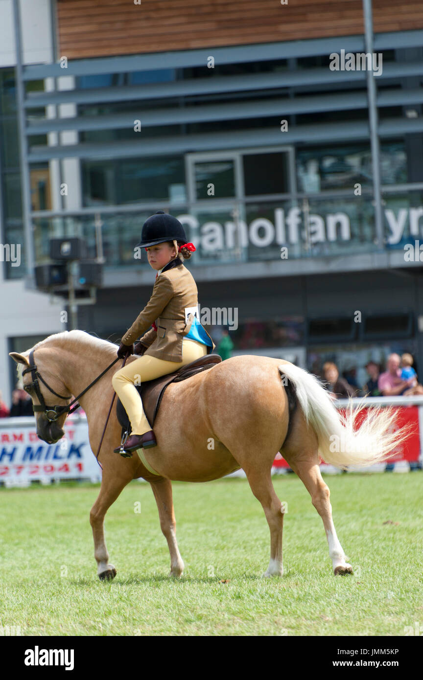 Llanelwedd, Powys, au Royaume-Uni. 27 juillet, 2017. Les jeunes coureurs prennent part à la "champion suprême cheval monté' le dernier jour de la Royal Welsh Show. Le Royal Welsh Show agricole est salué comme le plus grand et plus prestigieux événement du genre en Europe. Plus de 200 000 visiteurs y viennent pour la période de quatre jours. Le tout premier spectacle a été à Aberystwyth en 1904 et a attiré 442 entrées de l'élevage. Credit : Graham M. Lawrence/Alamy Live News Banque D'Images