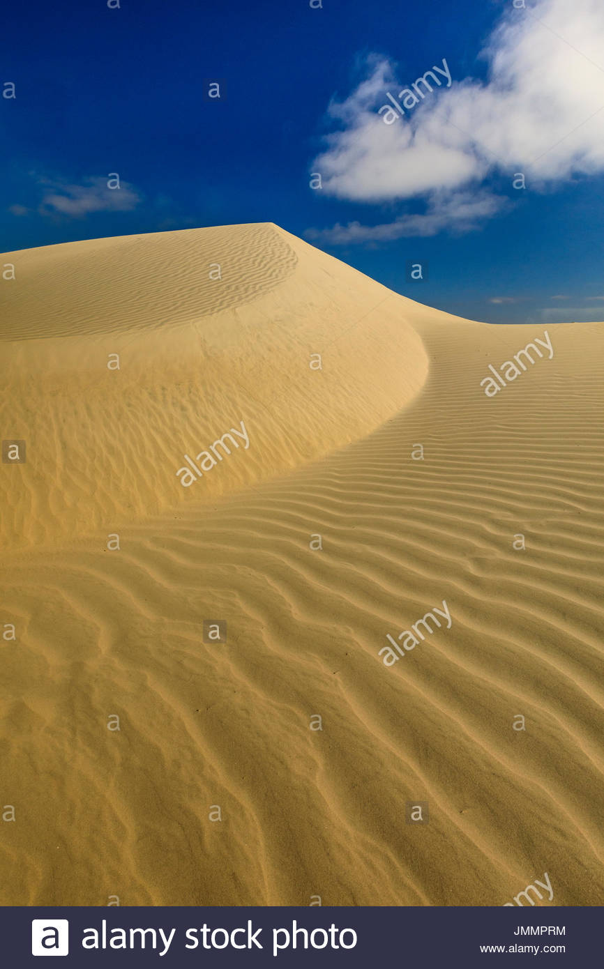 Une dune de sable avec des nuages et du vent. Banque D'Images