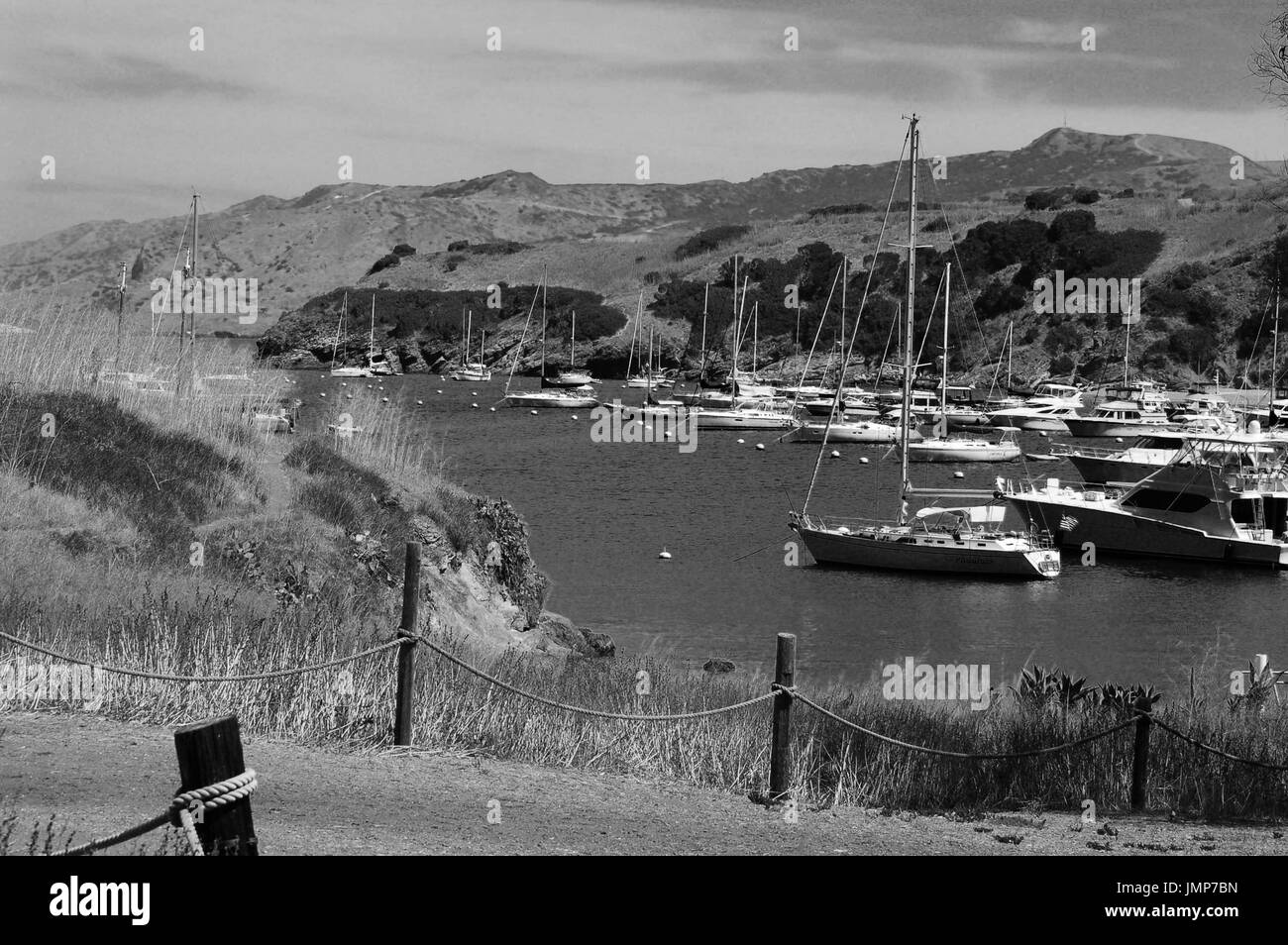Bateaux dans port, Santa Catalina Island, Californie Banque D'Images