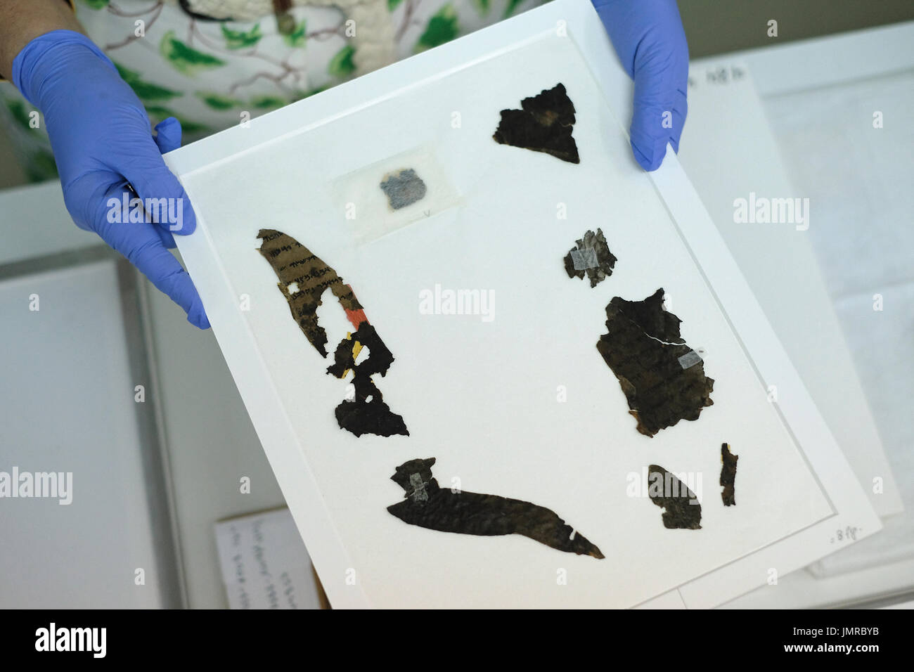 Un analyste de la conservation de l'Autorité des antiquités d'Israël détient des fragments de la mer morte écrit en hébreu trouvés à Qumrân des grottes à l'intérieur du laboratoire de conservation du Musée d'Israël à Jérusalem Israël Banque D'Images