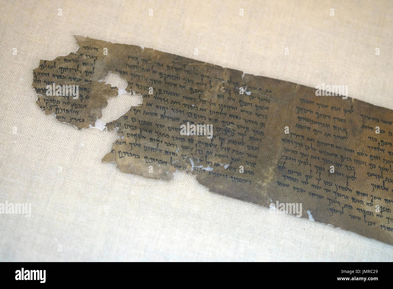 Un filet transparent couvre un fragment de Mer Morte deutéronome livre écrit en hébreu trouvés à Qumran grottes dans le laboratoire de préservation de l'Autorité des antiquités d'Israël au Musée d'Israël à Jérusalem Israël Banque D'Images