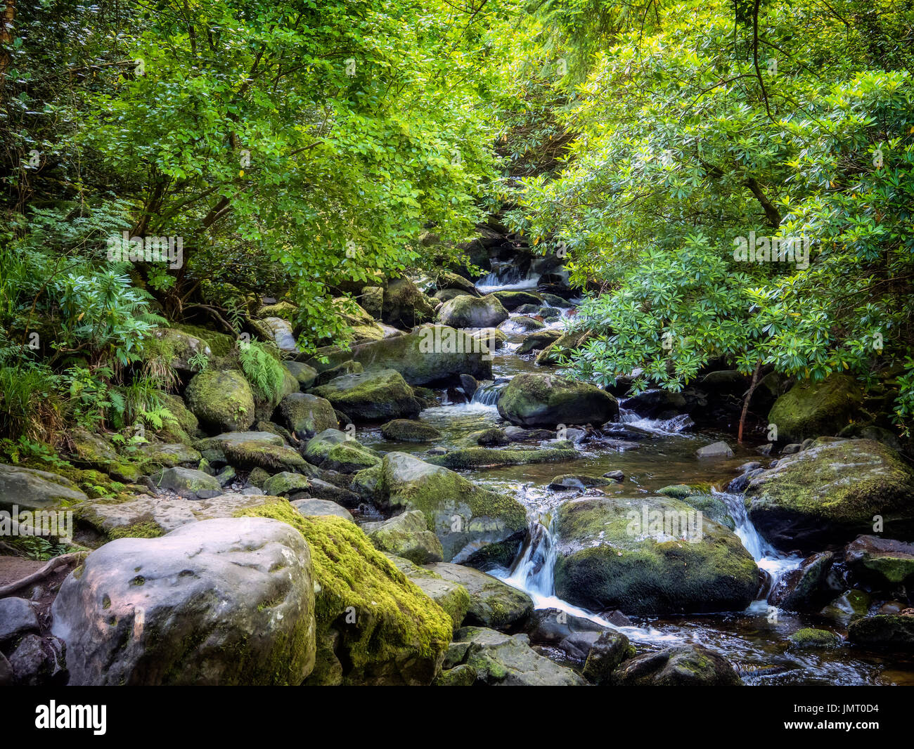 Cascade de killarney torc Banque de photographies et d’images à haute ...