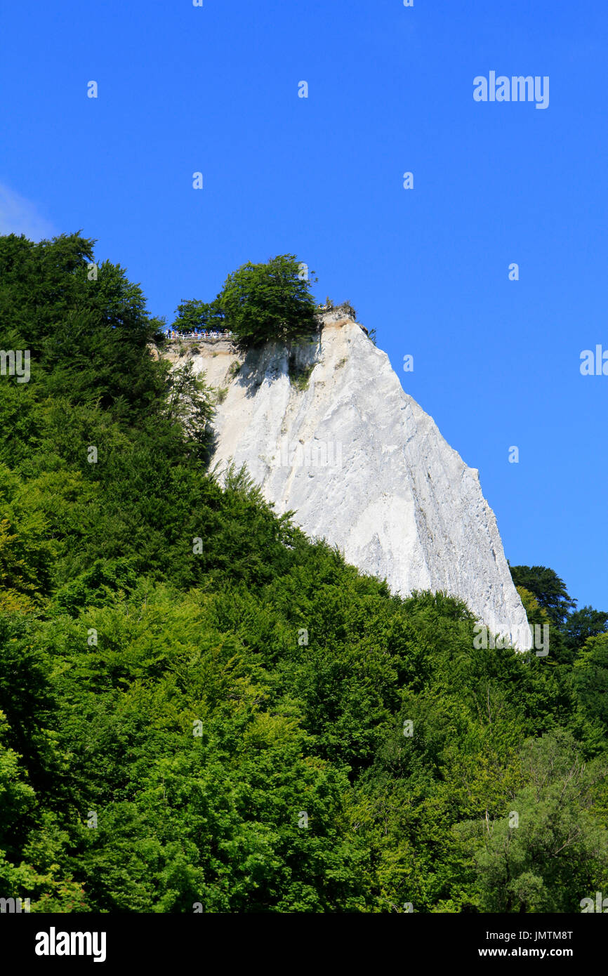 Falaises de craie Königsstuhl, Président du Roi, parc national de Jasmund, Sassnitz, Mecklembourg-Poméranie-Occidentale, Allemagne, Europe Banque D'Images