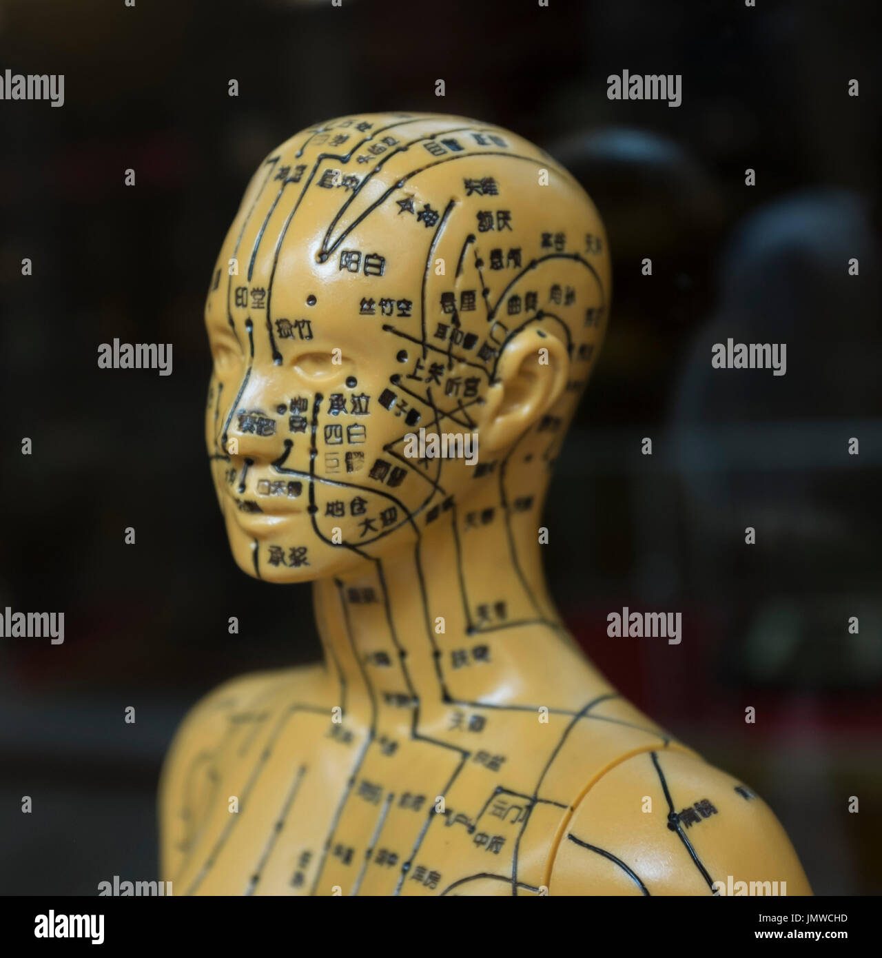 Un modèle pour les canaux et les méridiens du corps humain. Banque D'Images