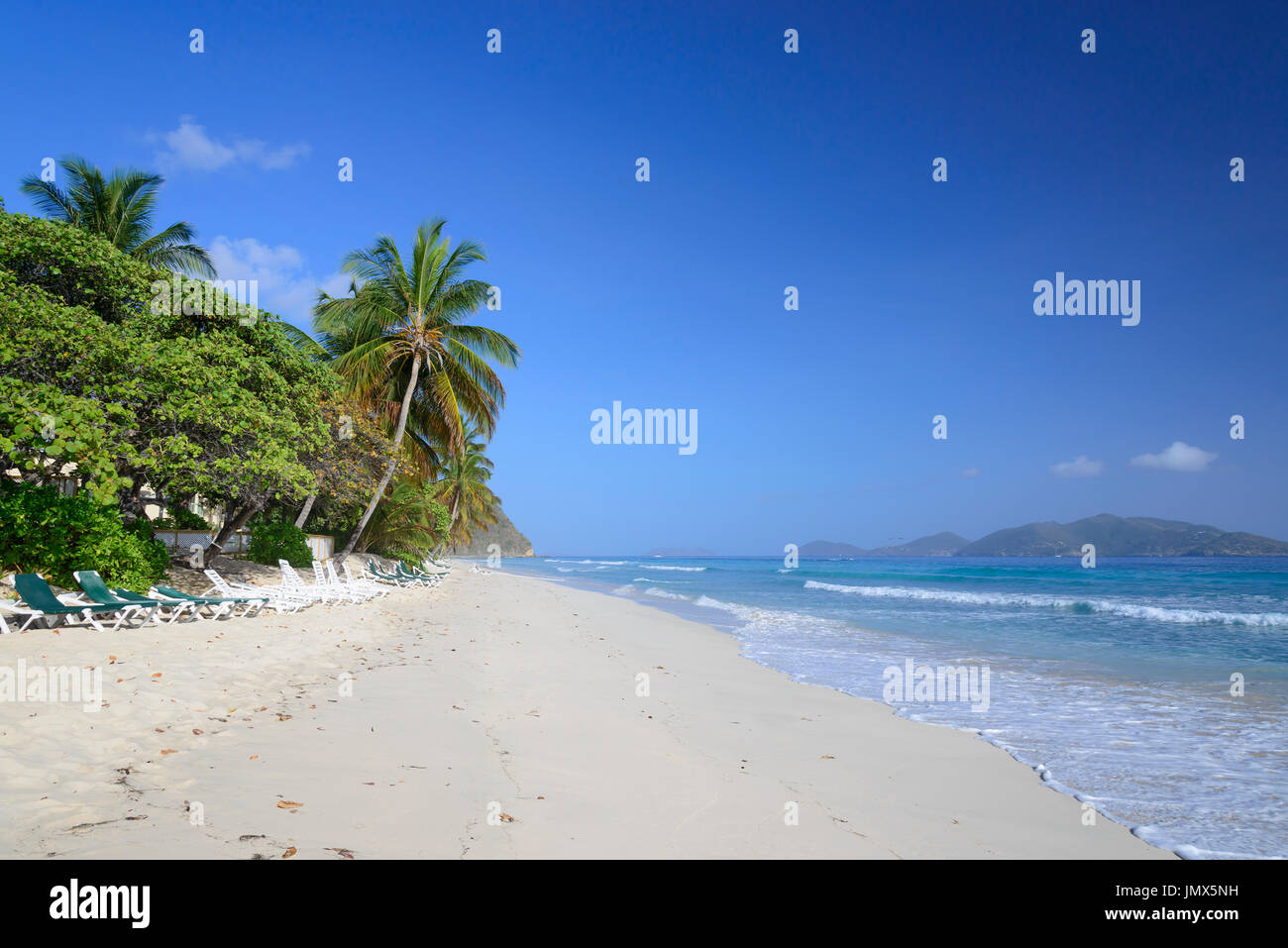 Plage de sable fin et palmiers, l'île de Tortola, British Virgin Islands, mer des Caraïbes Banque D'Images