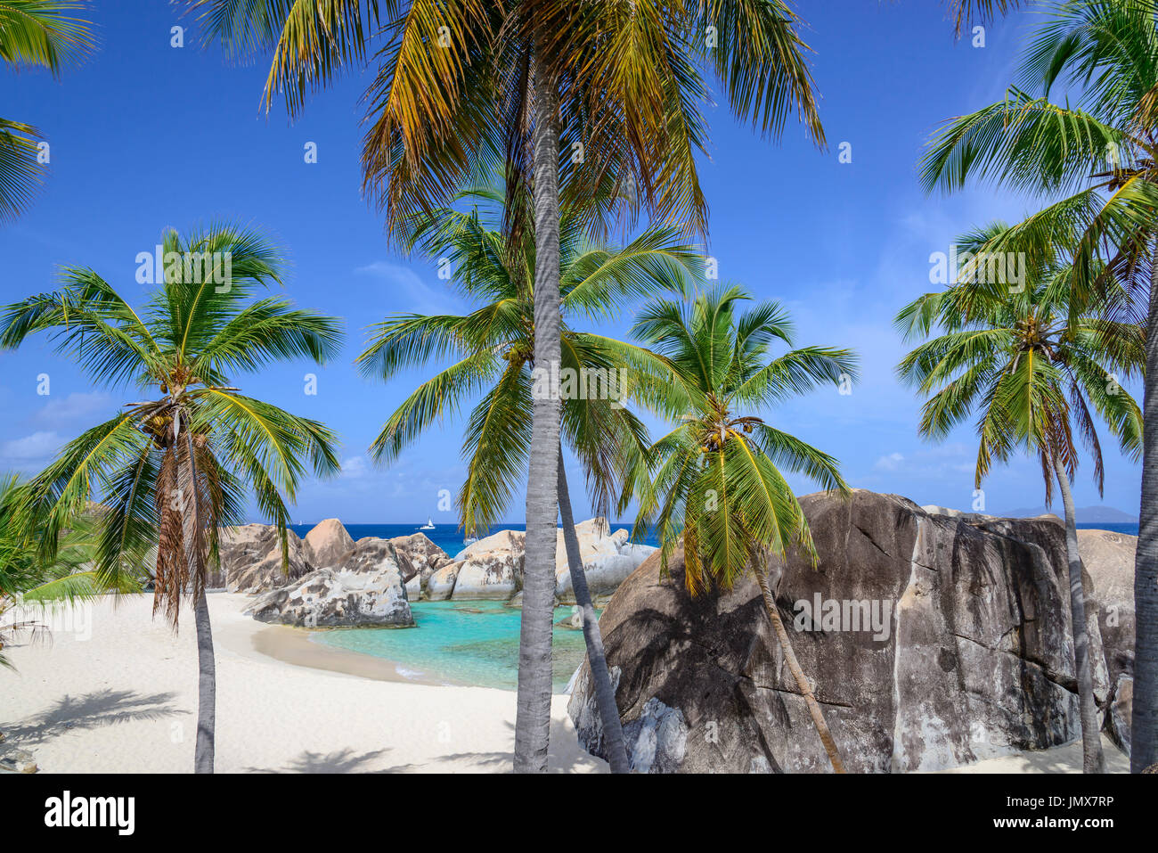 Spring Bay avec palmier et boulder par les Bains, les Bains, Spring Bay, l'île de Virgin Gorda, îles Vierges britanniques, la mer des Caraïbes Banque D'Images