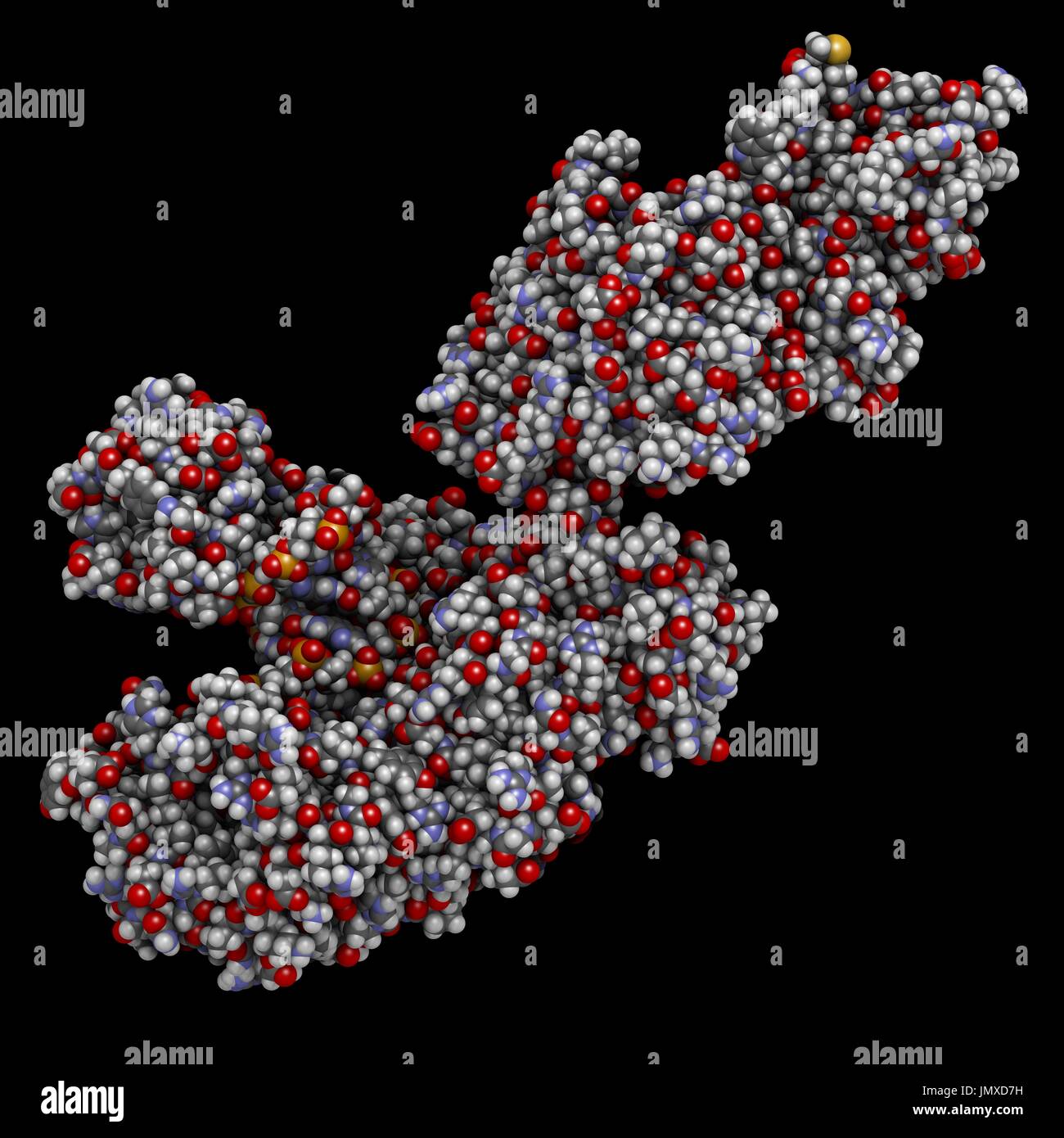 La Taq polymérase (Thermus aquaticus) polymérase enzyme liée à l'ADN. Protéines utilisées en PCR