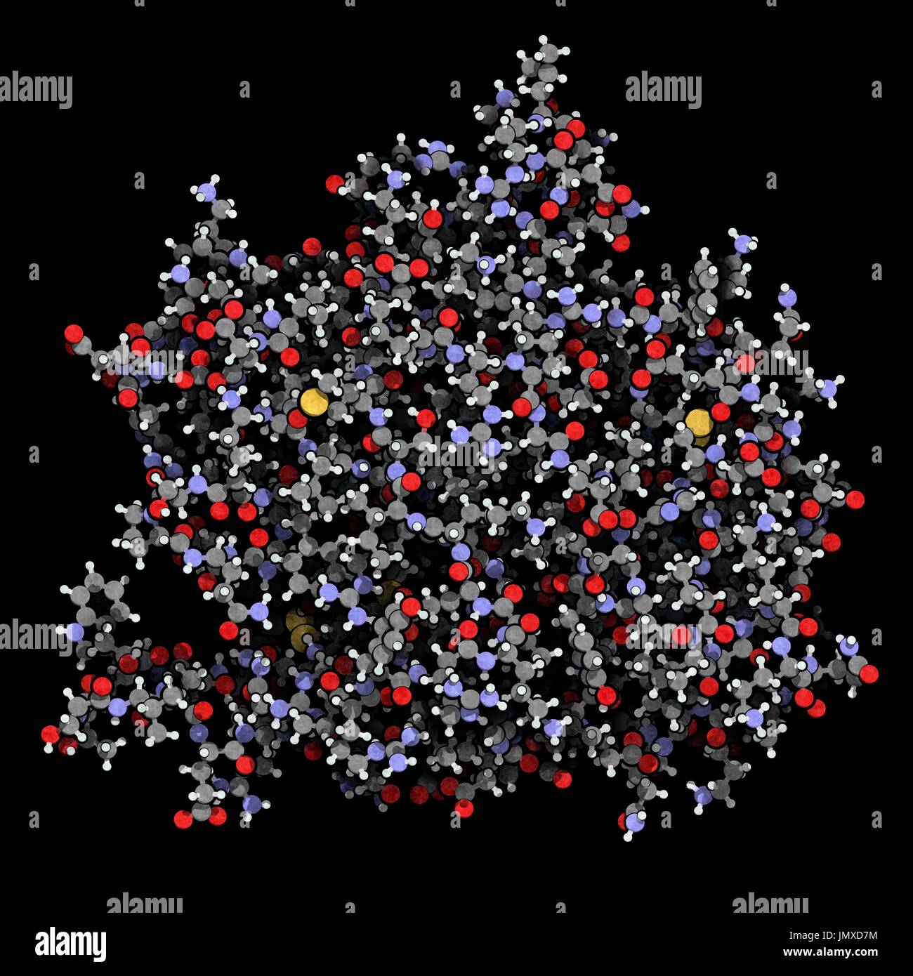 La thrombine (enzyme de coagulation du sang bovin). Protéine clé dans la cascade de la coagulation. Convertit le fibrinogène en fibrine insoluble soluble. Ball-and-stick modèle avec codage couleur classiques. Banque D'Images