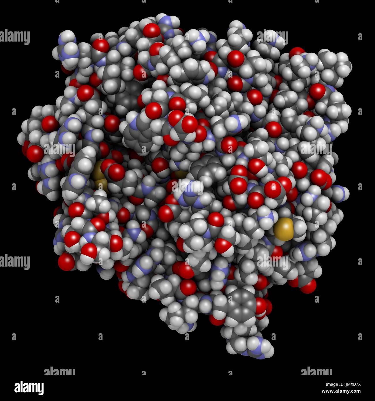 La thrombine (enzyme de coagulation du sang bovin). Protéine clé dans la cascade de la coagulation. Convertit le fibrinogène en fibrine insoluble soluble. Remplissage de l'espace modèle avec codage couleur classiques. Banque D'Images