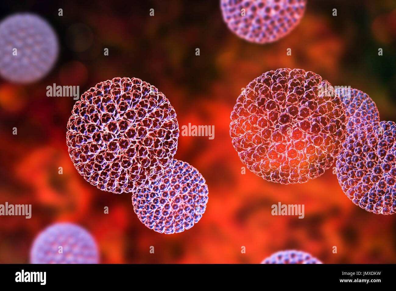 Les rotavirus, particules illustration de l'ordinateur. La particule virale est constituée d'un ARN (acide ribonucléique) noyau entouré d'une triple capside en couches. Les rotavirus sont probablement le plus commun des virus pour infecter les humains et les animaux. Ils sont associés à la gastro-entérite et la diarrhée - généralement d'infecter les intestins des enfants âgés de 6 mois à 3 ans. Les virus se propagent dans les fèces. Banque D'Images