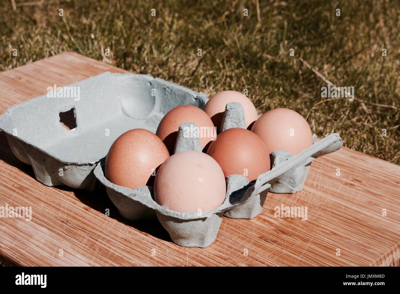 Grand brun oeufs de poule dans les petits. Des œufs dans le jardin. Banque D'Images