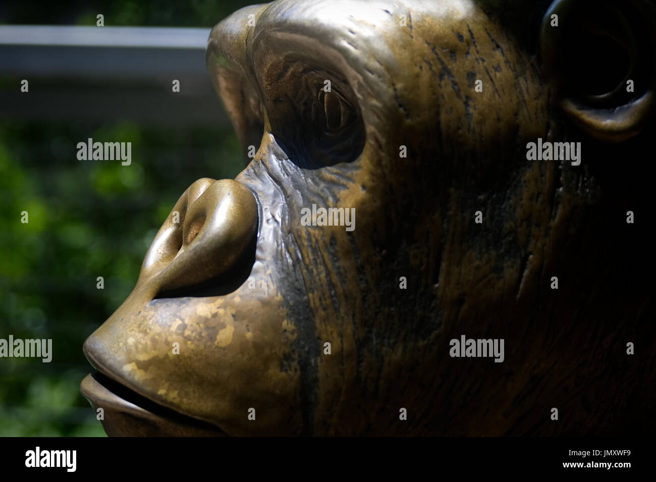 Statue en bronze d'un gorille à l'extérieur le Primate préserver au Zoo de Philadelphie, à Philadelphie, PA, le 26 mai 2017. Banque D'Images