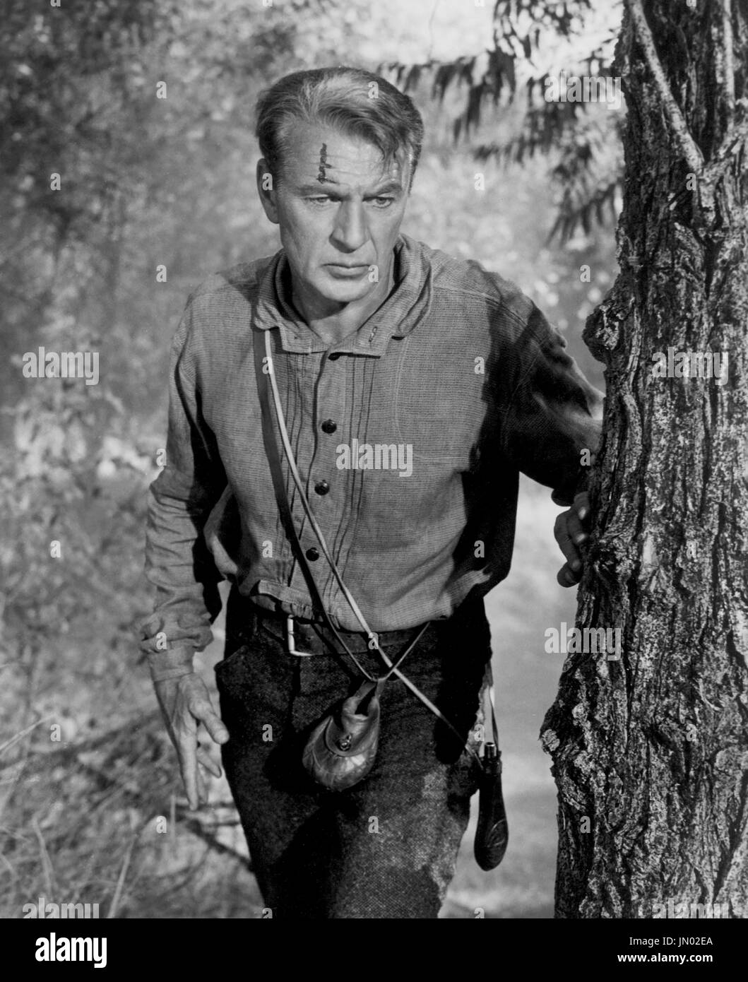 Gary Cooper, sur-ensemble du film, 'Friendly Persuasion', Allied Artists, 1956 Banque D'Images