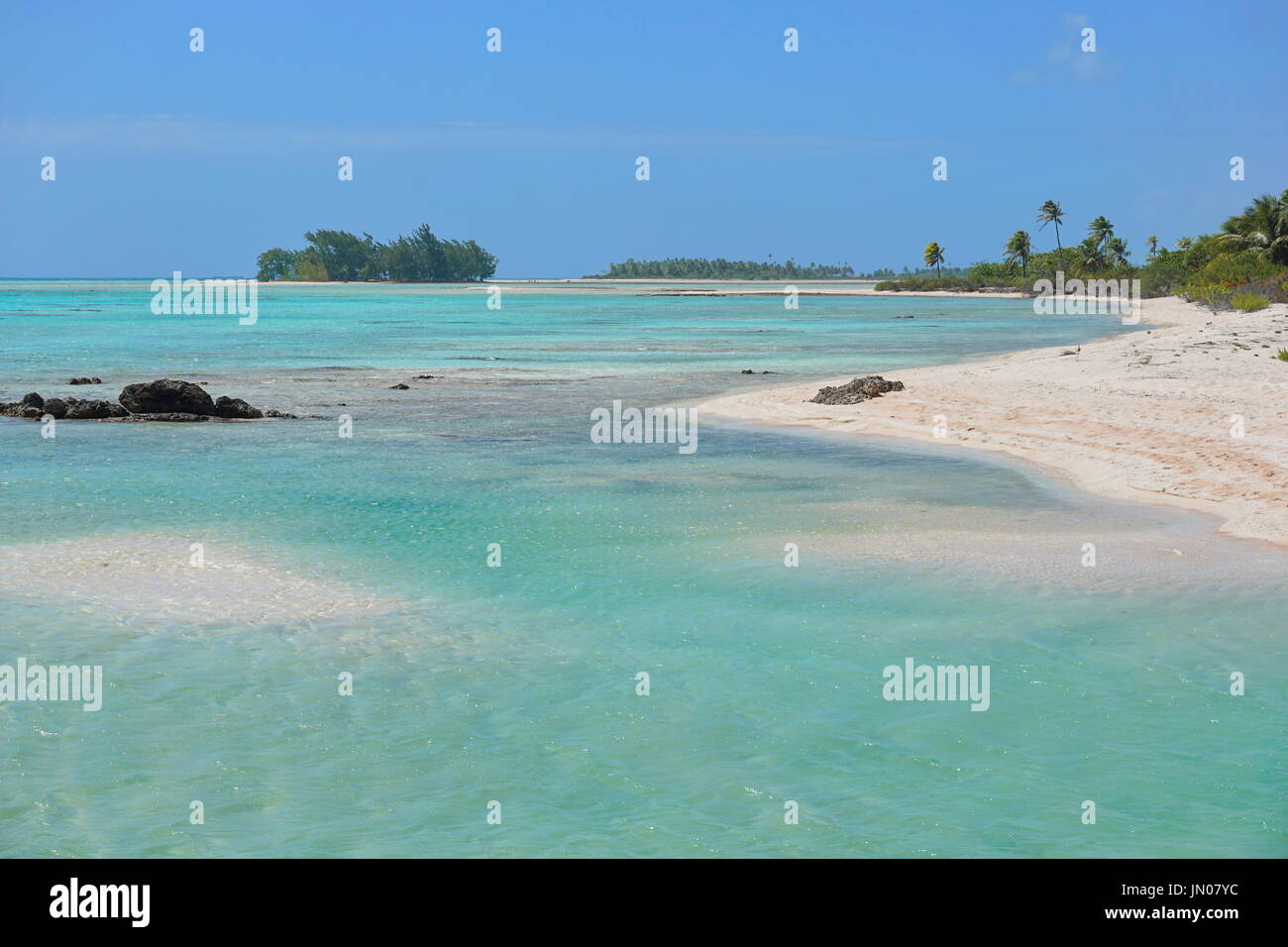 L'intérieur du lagon et plage de l'atoll de Tikehau, archipel des Tuamotu, en Polynésie française, l'océan Pacifique sud Banque D'Images