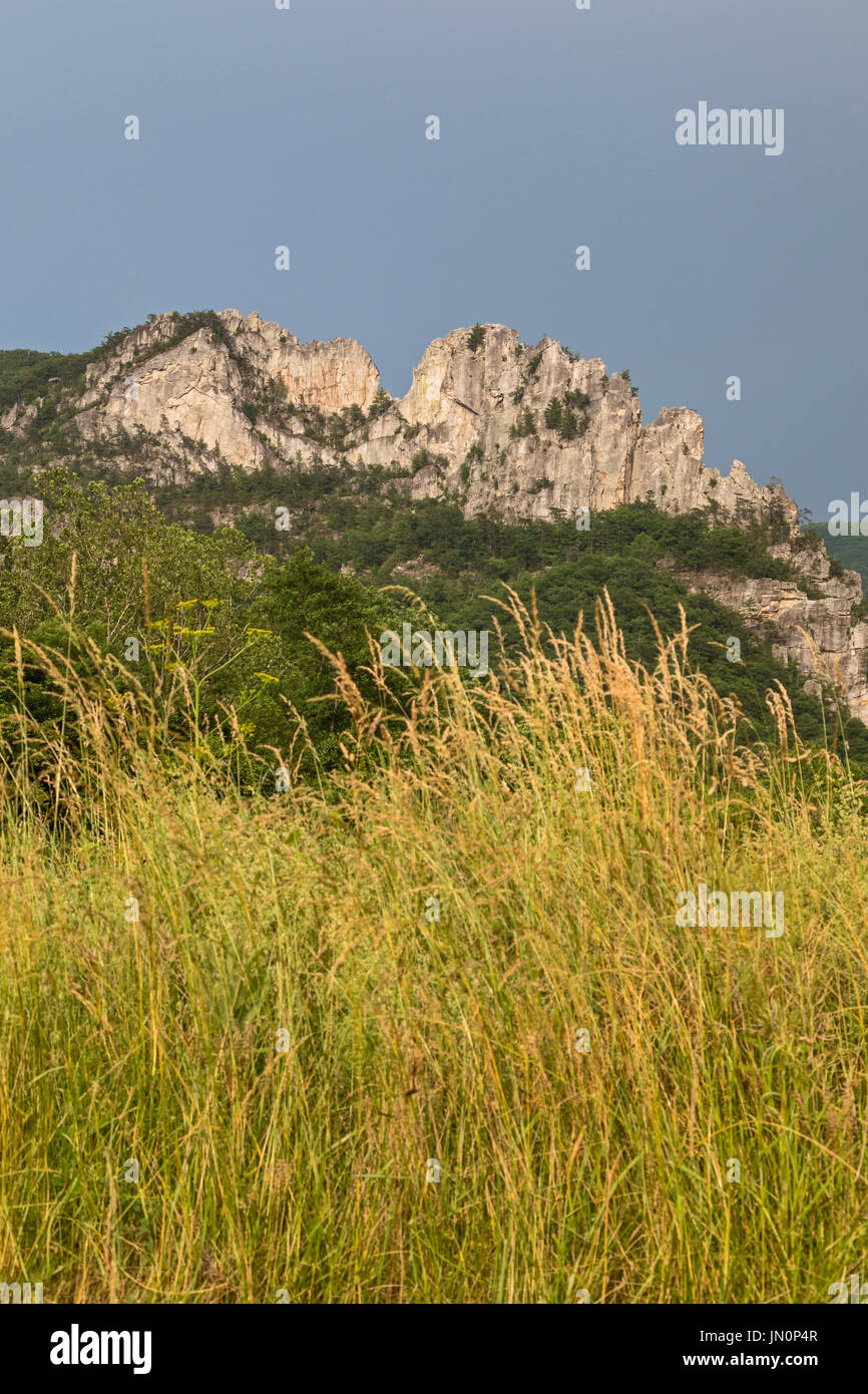 Seneca Rocks, West Virginia - le nord et le sud de Seneca Rocks pics, un célèbre rocher d'escalade dans la forêt nationale de Monongahela. Banque D'Images