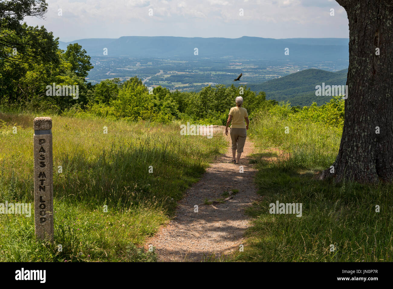 Shenandoah National Park, Virginia - Susan Newell, 68, balades dans la montagne, sentier en boucle Col donnant sur la vallée de Shenandoah. Banque D'Images