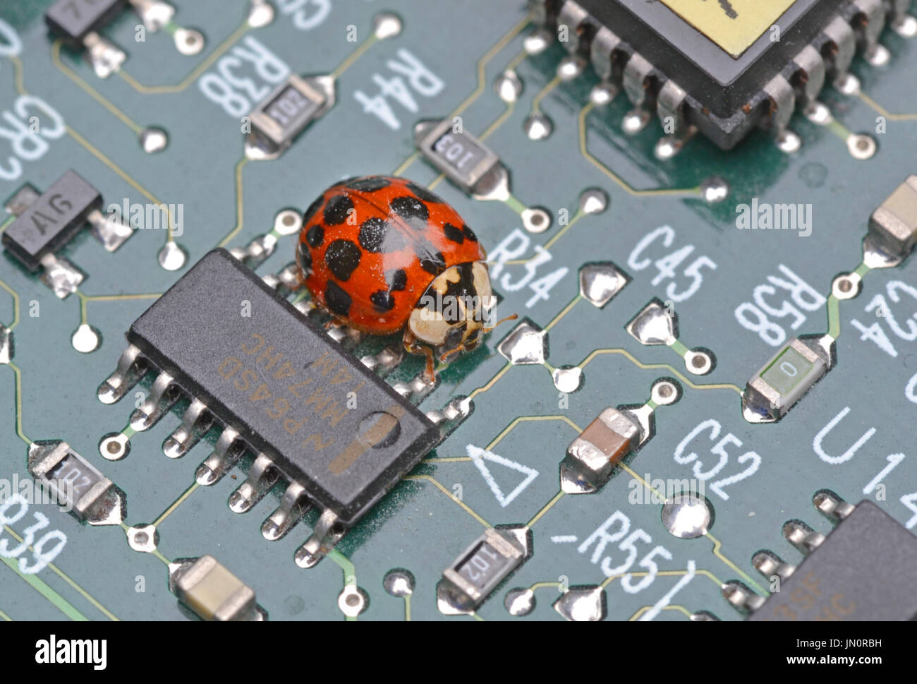 Coccinelle rouge sur un circuit électrique à bord Banque D'Images