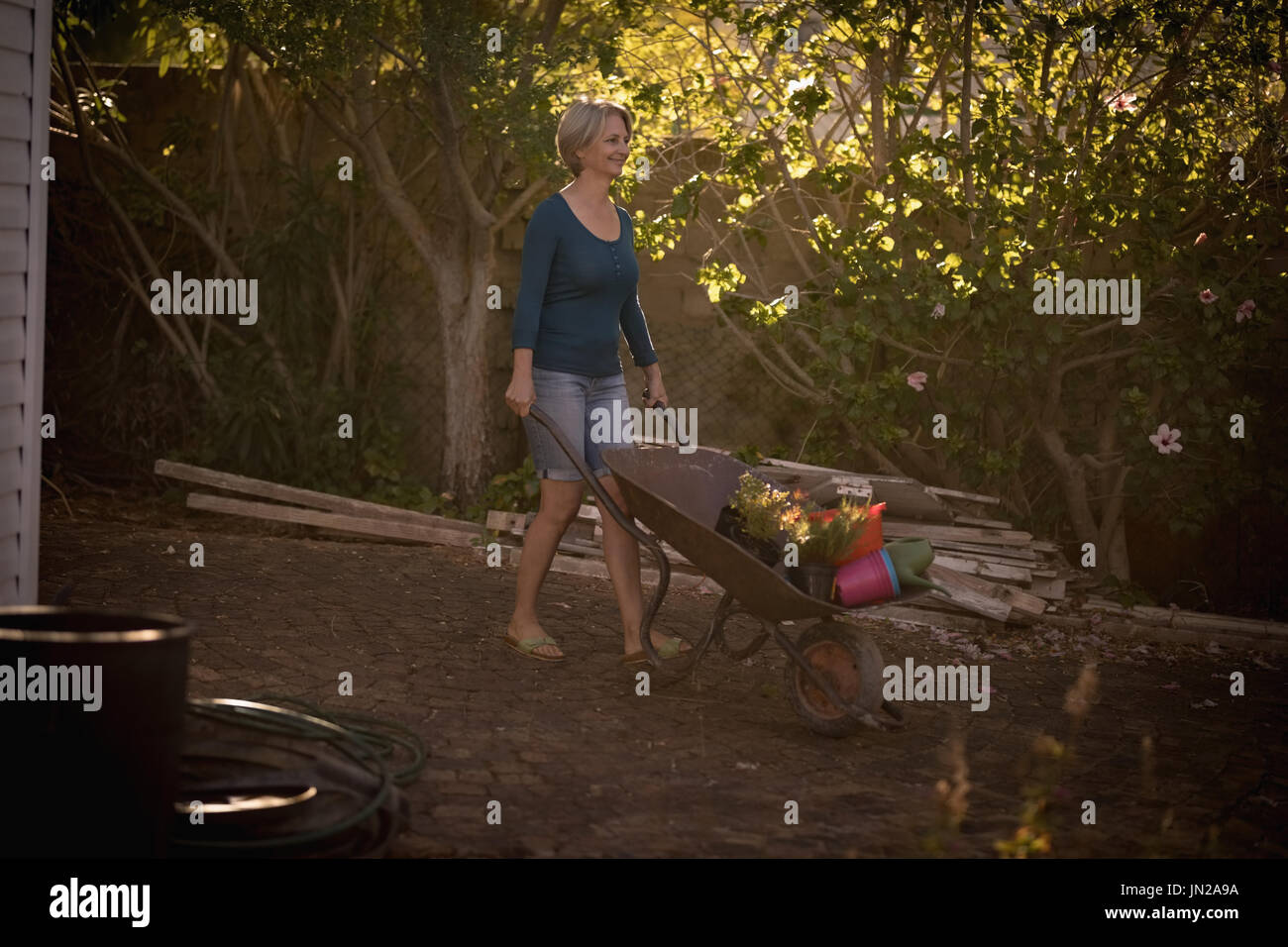 Woman pushing wheelbarrow avec bois de chauffage dans le jardin Banque D'Images