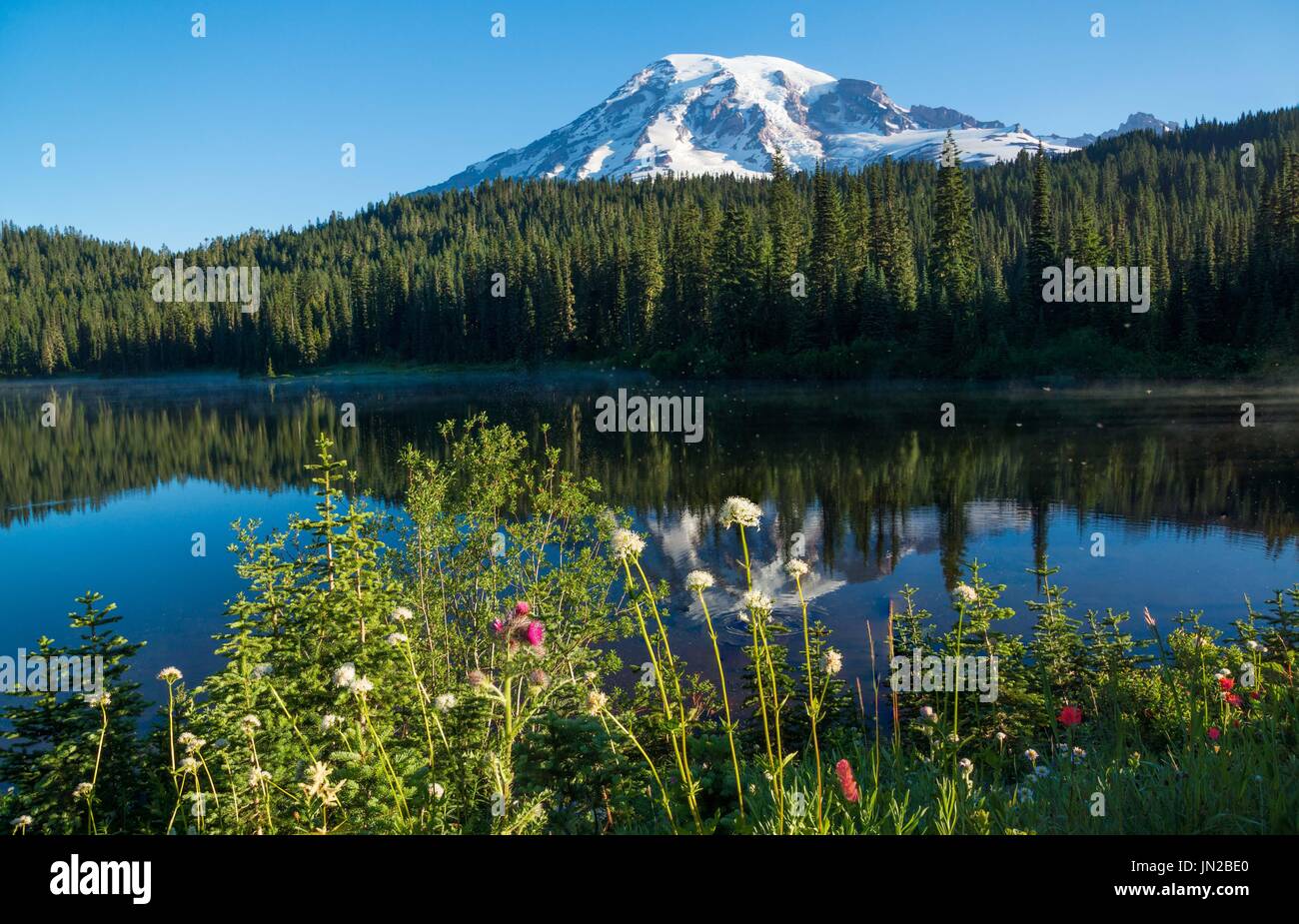 Mt. Rainier réflexion lake Banque D'Images