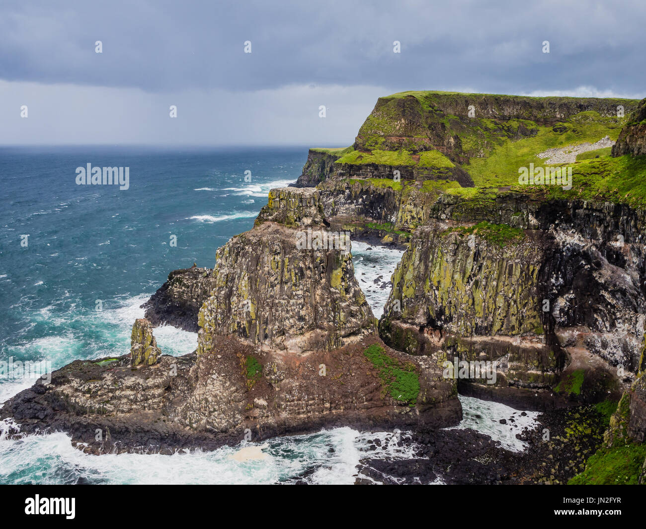 Rathlin Island, le sanctuaire des oiseaux Banque D'Images