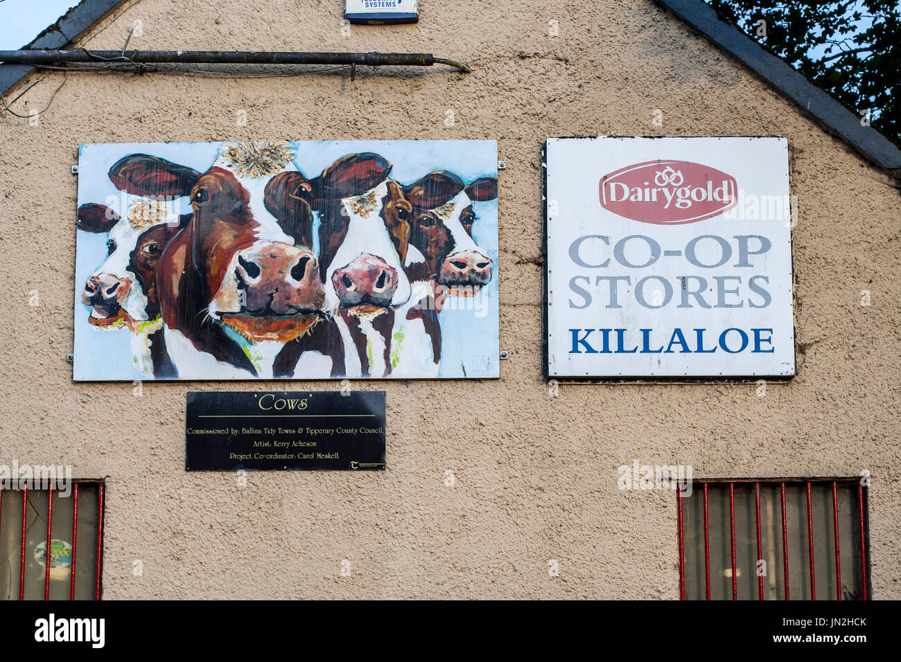 Killaloe Street Signs in Clare, Irlande Banque D'Images