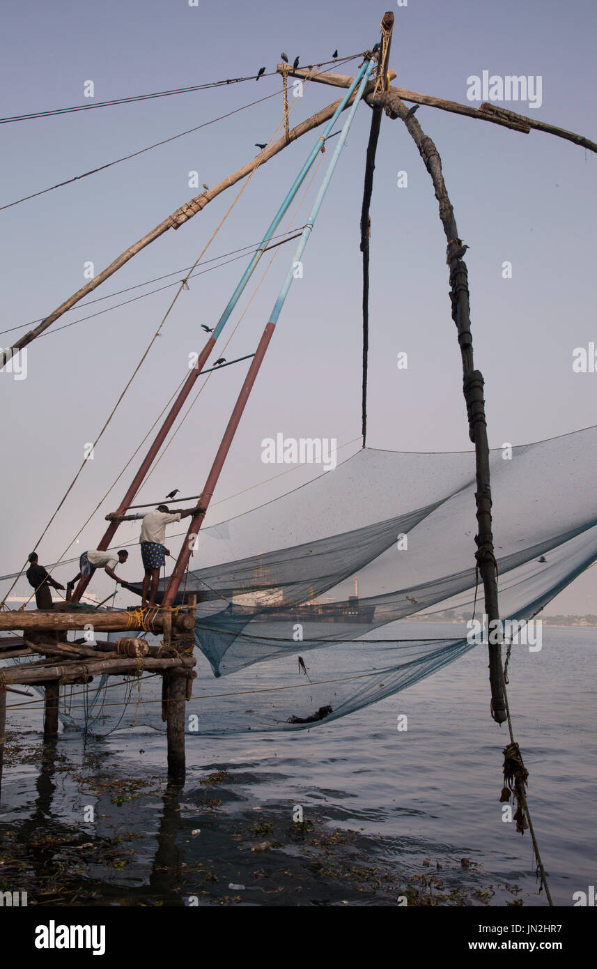 Filets de pêche chinois à l'aube, fort Cochin, Kerala, Inde Banque D'Images