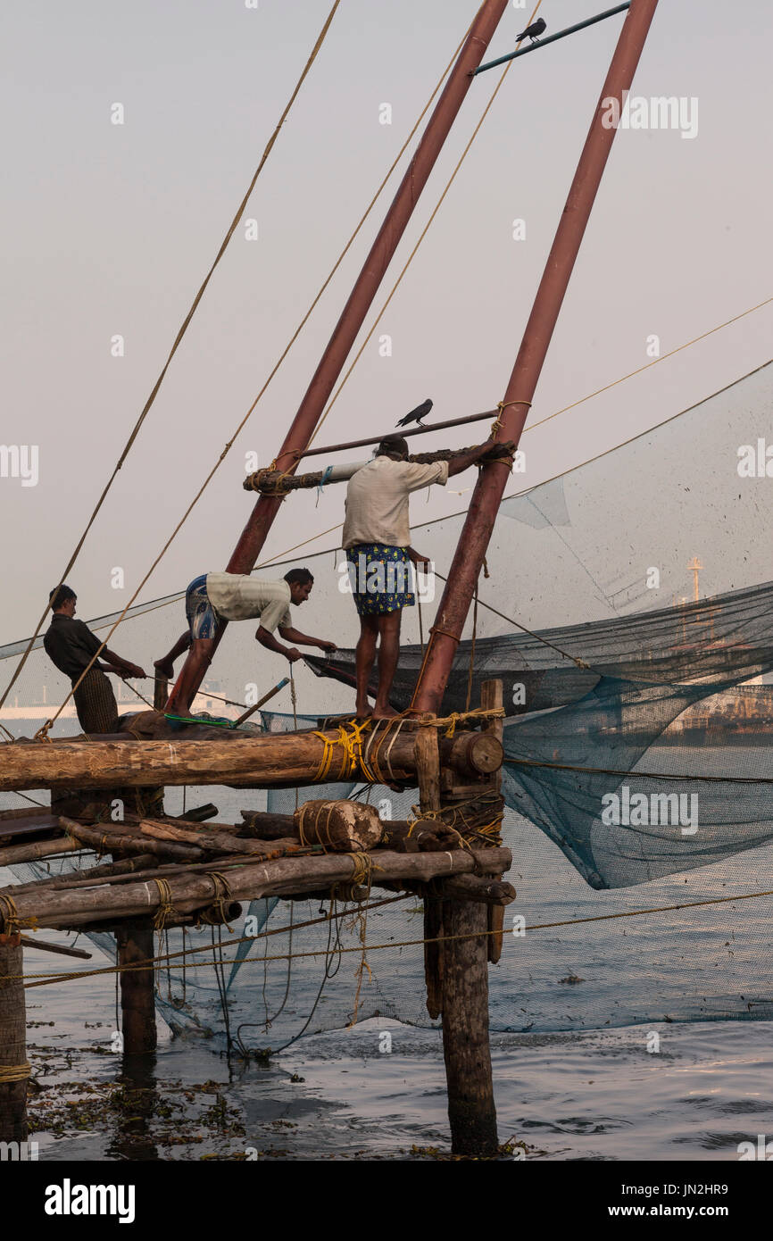 Filets de pêche chinois à l'aube, fort Cochin, Kerala, Inde Banque D'Images