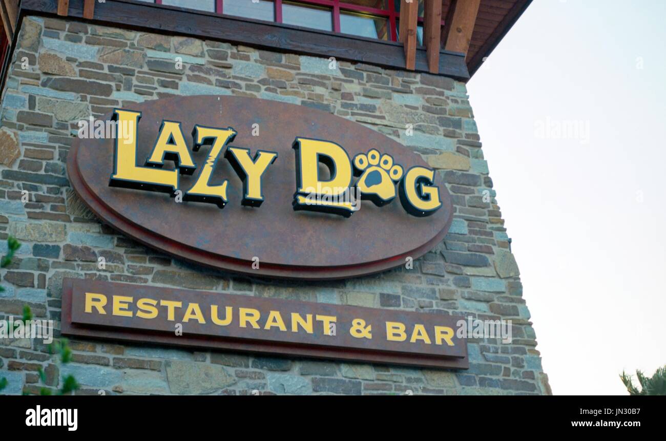La signalisation pour chien paresseux Restaurant et bar, un restaurant populaire de la chaîne locale dans la région de la baie de San Francisco ville de Dublin, en Californie, le 6 juin 2017. Selon les données de 2014, Dublin est parmi les trois premières villes à croissance la plus rapide dans l'état de Californie. Banque D'Images