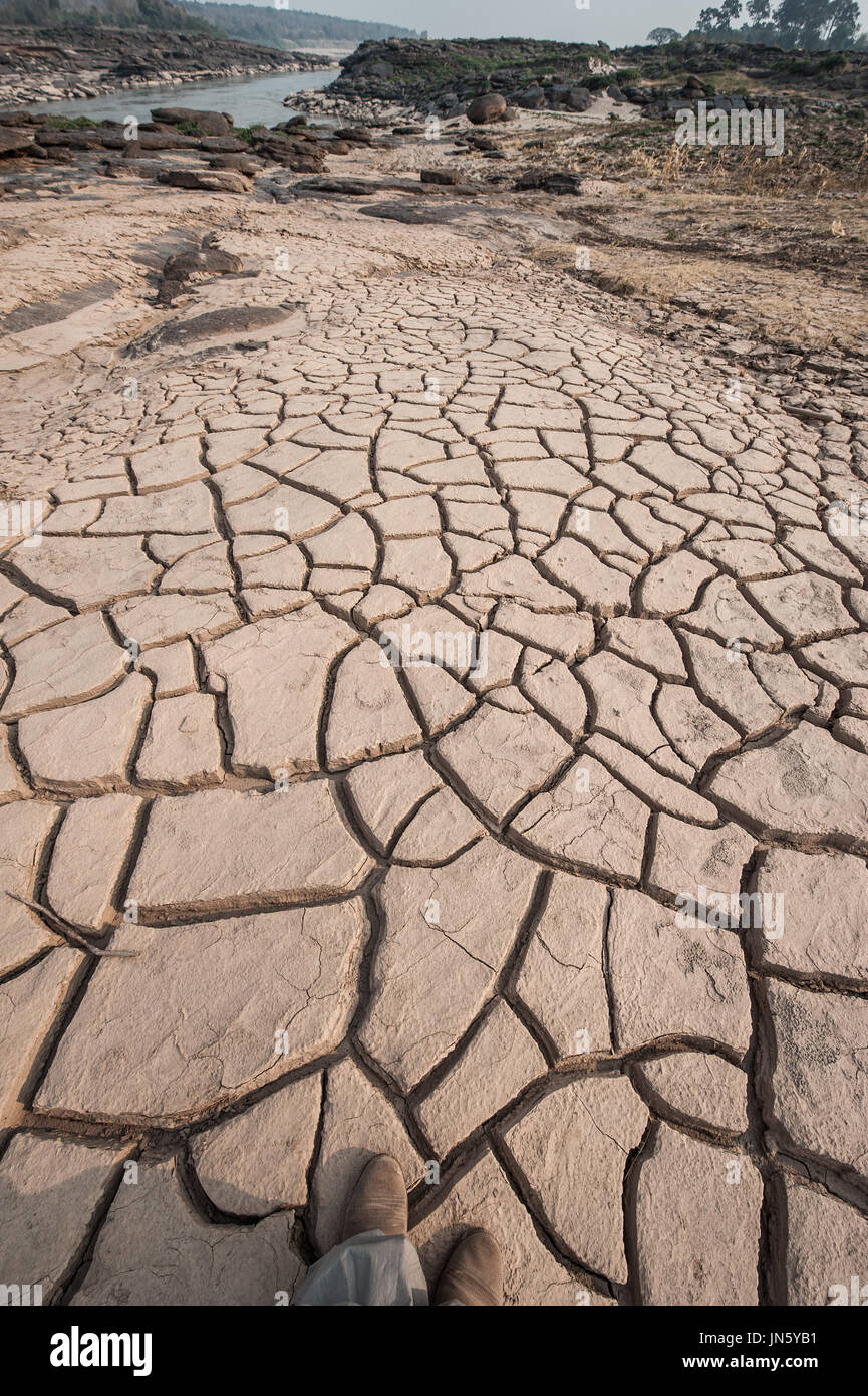 Crack d'or de la terre, la terre sèche, la surface d'argile brun or la texture du sol, la sécheresse d'effet. Banque D'Images