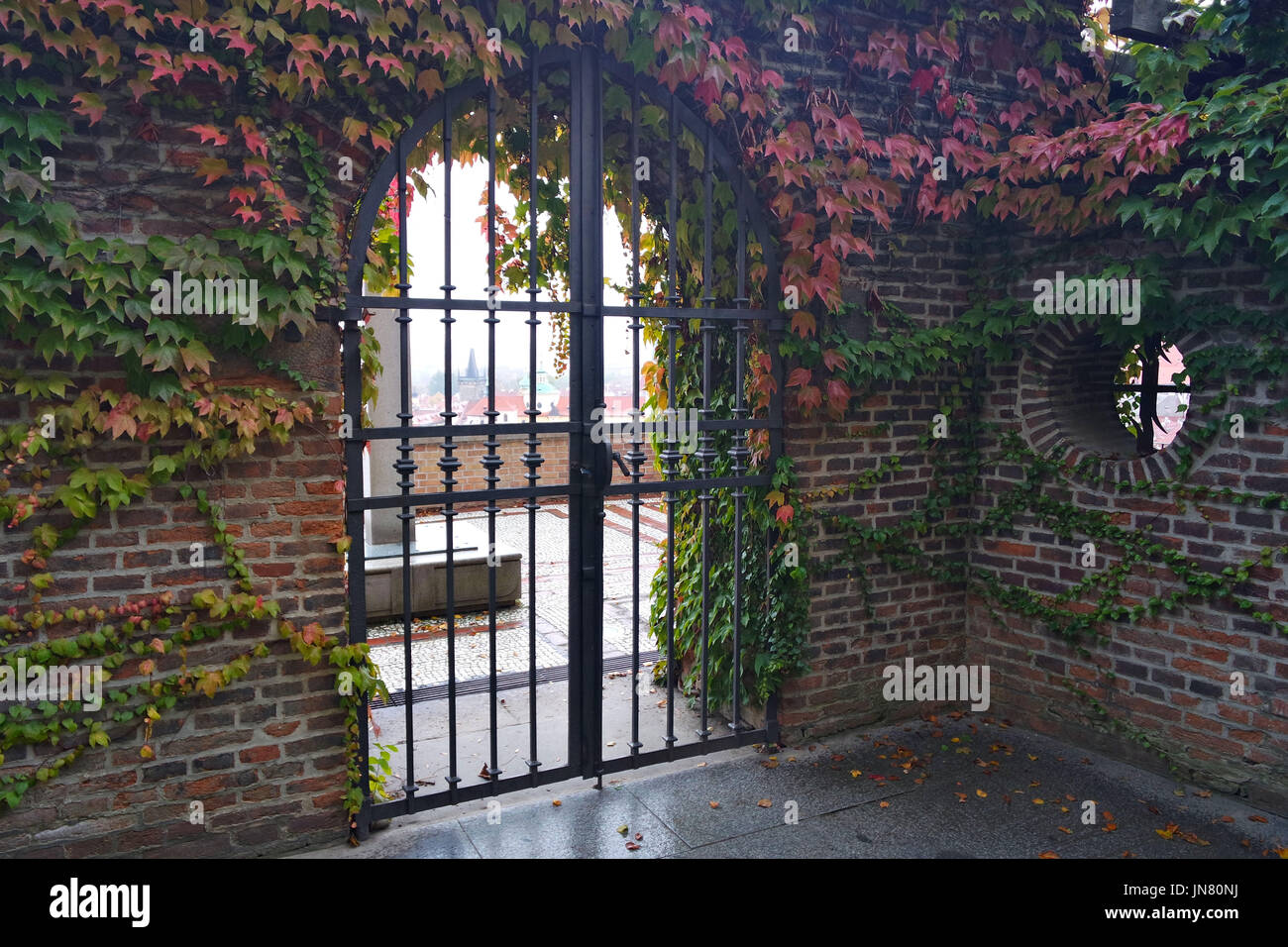 Metal Gate et les plantes grimpantes sur un mur de briques Banque D'Images