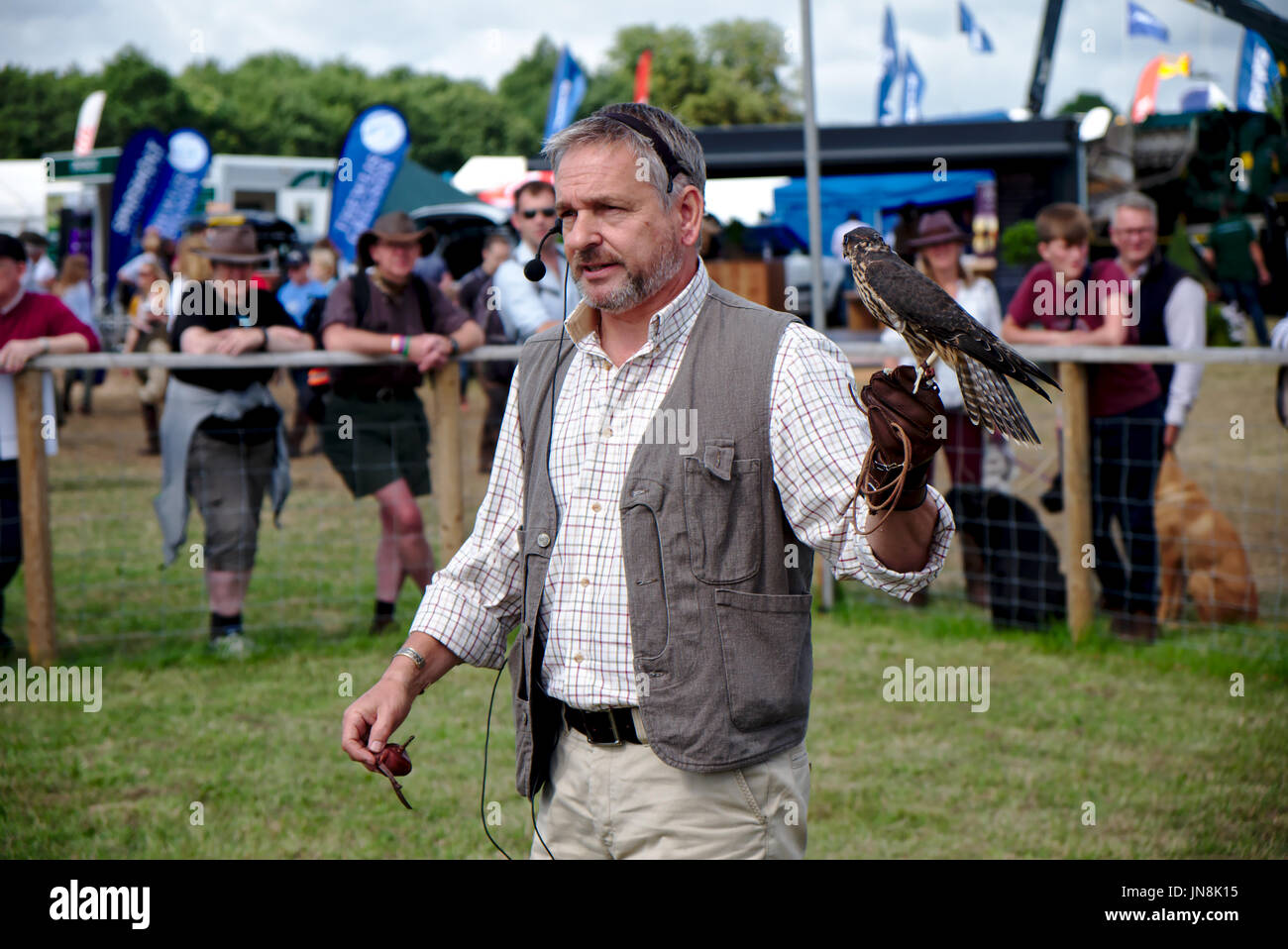 La fauconnerie démontre à l'Gamefair expert Banque D'Images