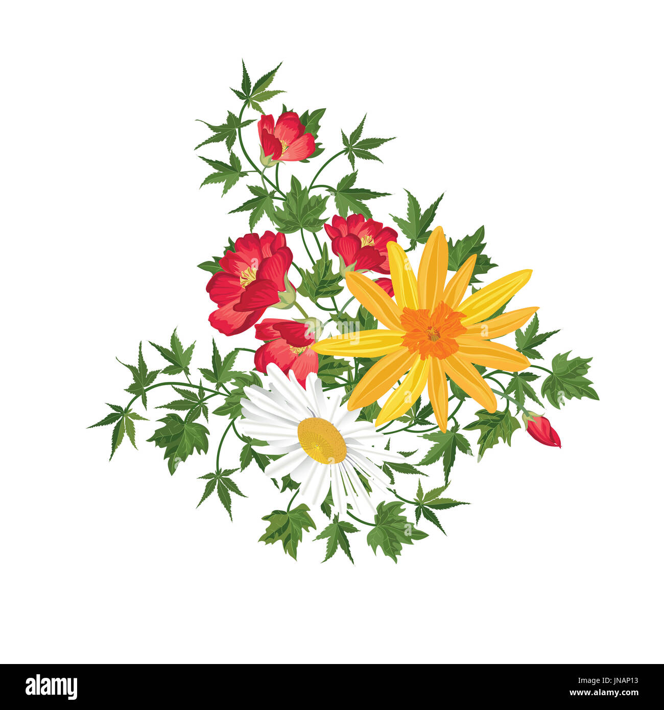 Bouquet de fleurs floral frame.. carte de vœux s'épanouir. fleurs isolé sur fond blanc Banque D'Images