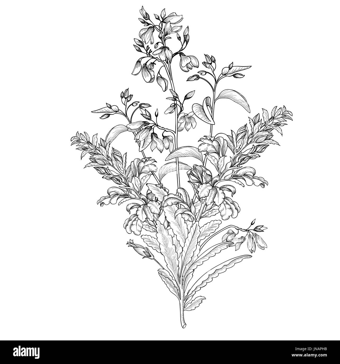 Floral background. Couverture vintage bouquet de fleurs. S'épanouir avec copie espace. Posy isolé avec fleurs exotiques. Banque D'Images Floral background. Couverture vintage bouquet de fleurs. S'épanouir avec copie espace. Posy isolé avec fleurs exotiques. Banque D'Images