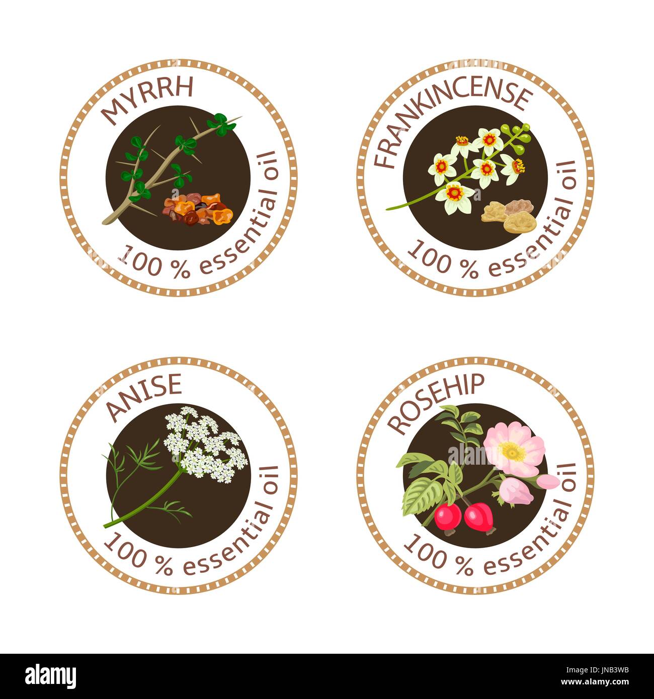 Ensemble d'huiles essentielles des étiquettes. La myrrhe, l'encens, de rose musquée, d'anis Illustration de Vecteur