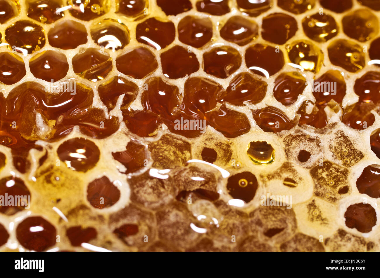 De miel avec le miel en libre. Macro Banque D'Images