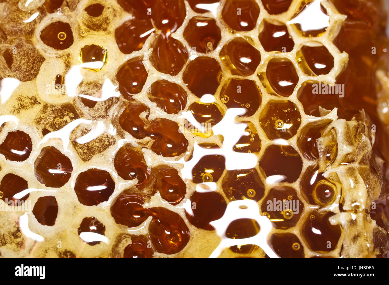 De miel avec le miel en libre. Macro Banque D'Images