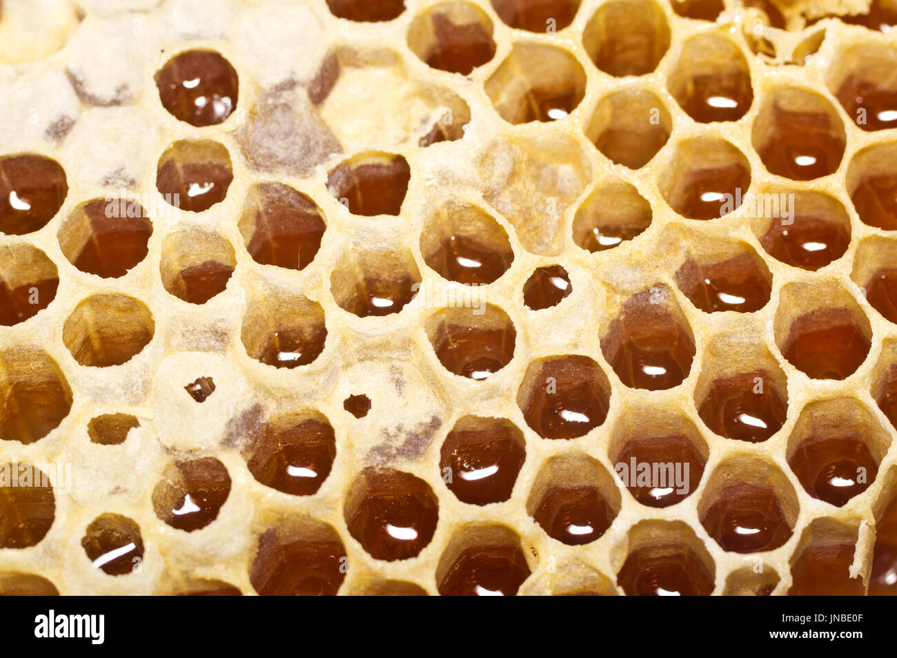 De miel avec le miel en libre. Macro Banque D'Images