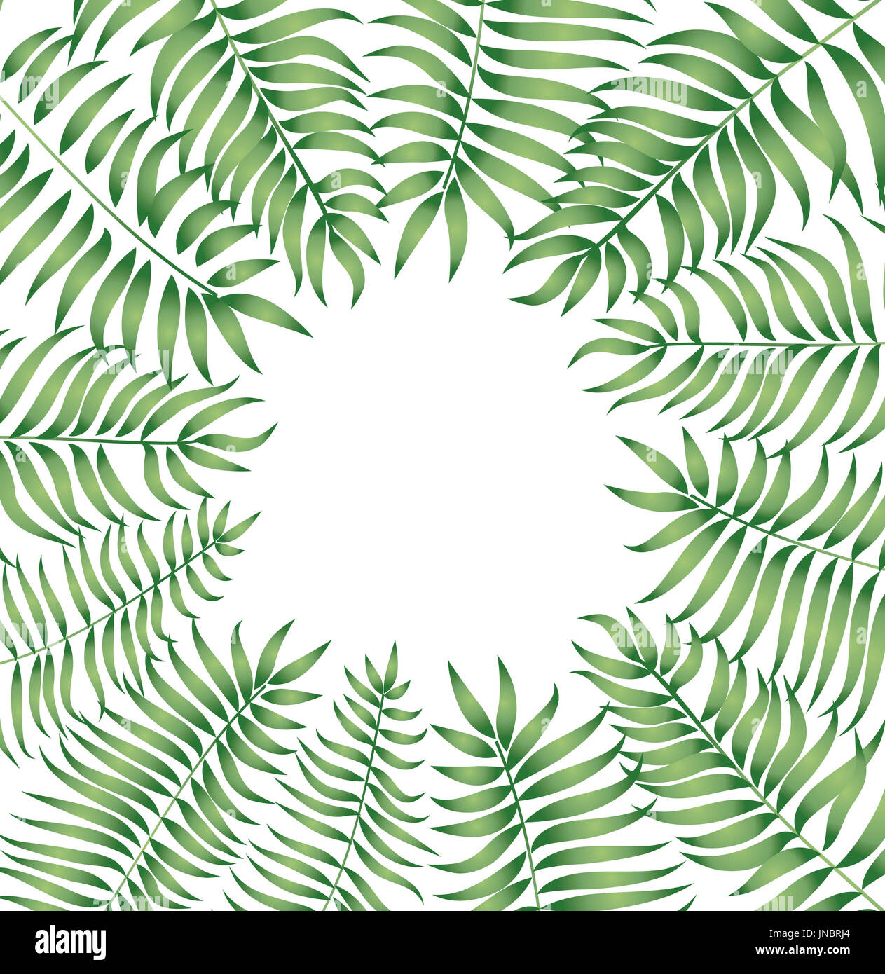 Floral background. Feuilles d'été s'épanouir frontière. Plam châssis leafe vector illustration Banque D'Images