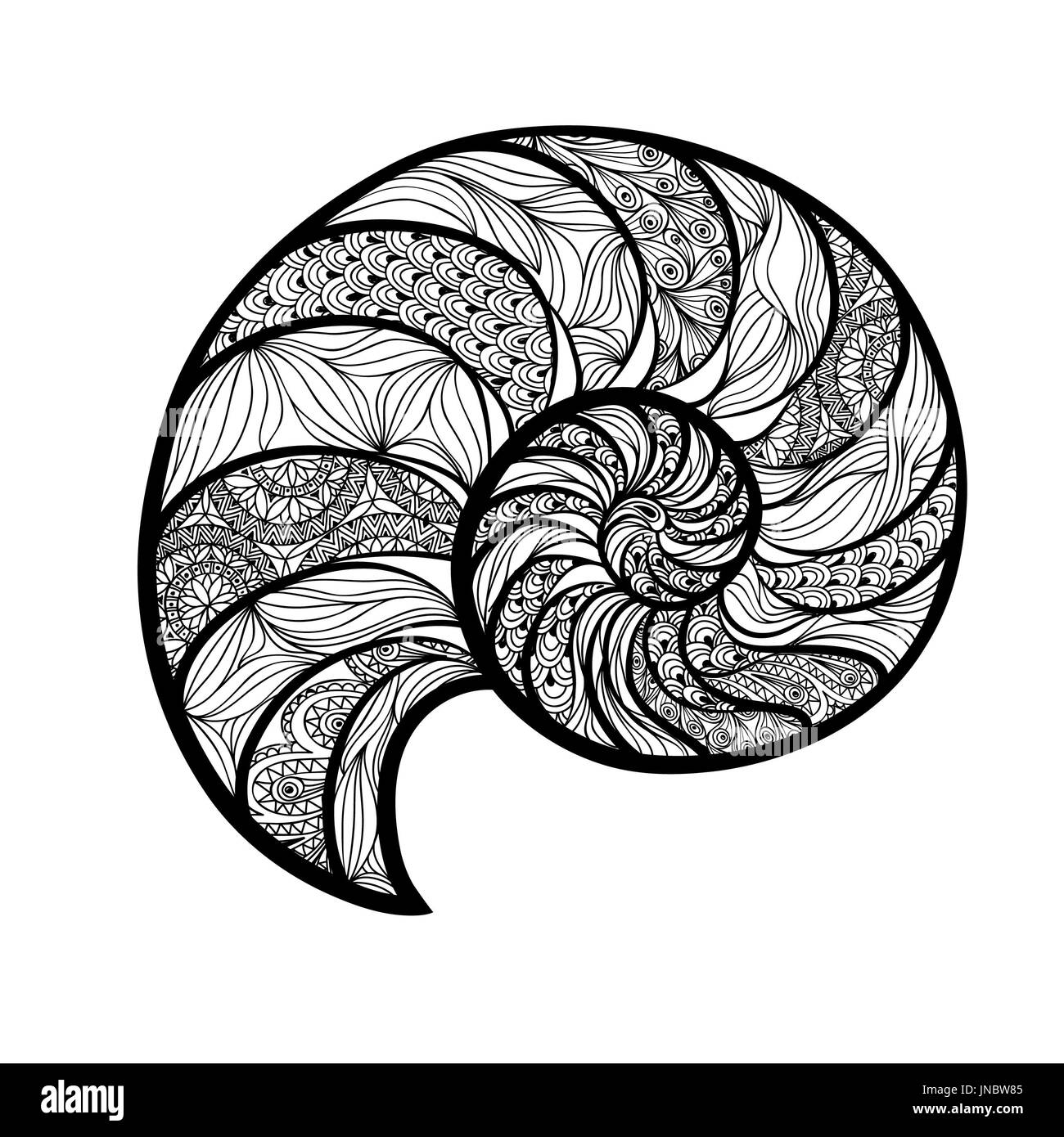 Coquillage nautilus. Sea shell set ingraved vector illustration isolé sur fond blanc. Doodle sea shell. Image vie marine ornamental zentangle Banque D'Images